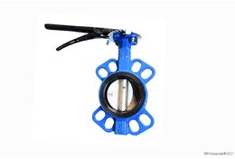 Затвор Ду 100